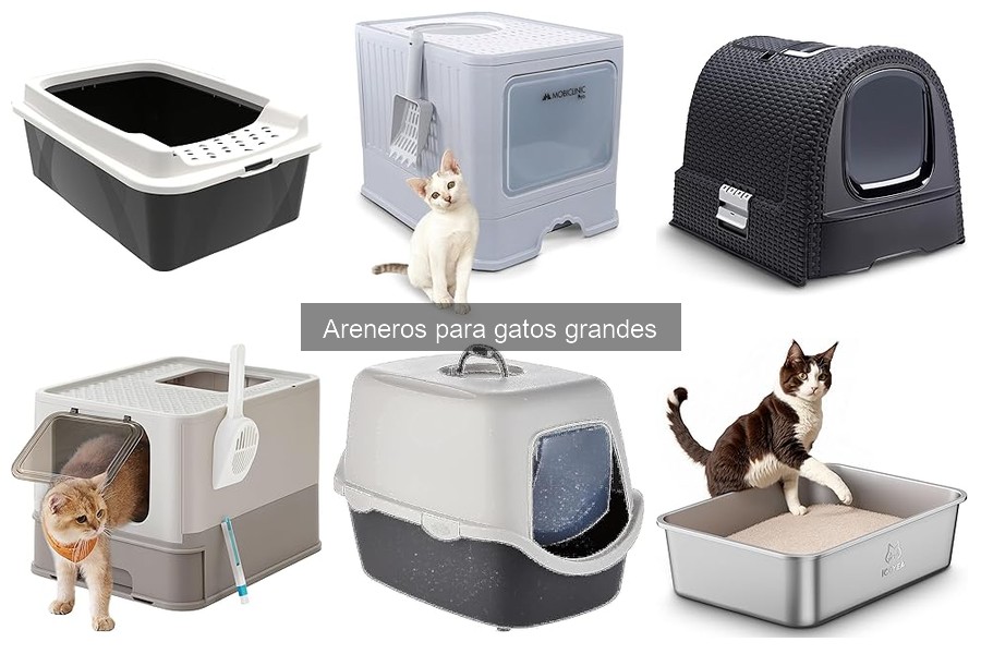 Guía para Elegir el Arenero Ideal para Gatos Grandes