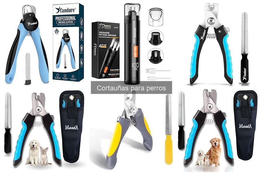 Guía para elegir el cortauñas perfecto para tu perro