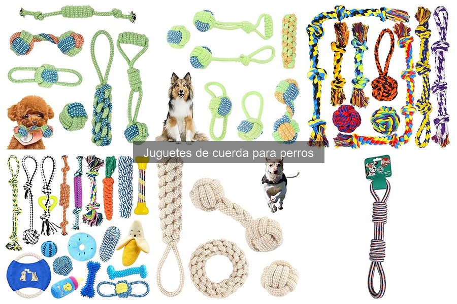 Guía para elegir el juguete de cuerda ideal para tu perro