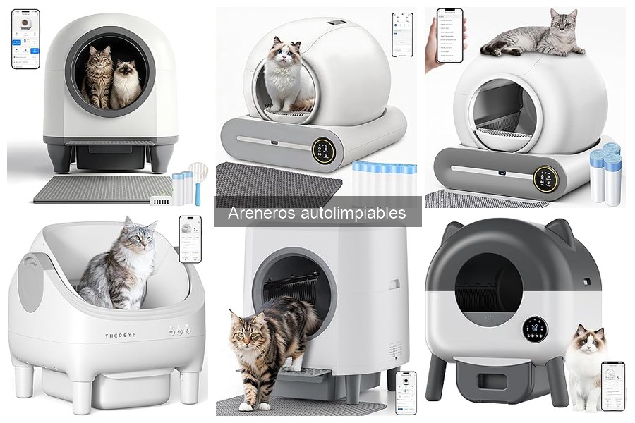 Guía para Elegir el Mejor Arenero Autolimpiable para Gatos