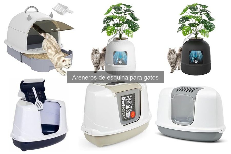 Guía para elegir el mejor arenero de esquina para gatos