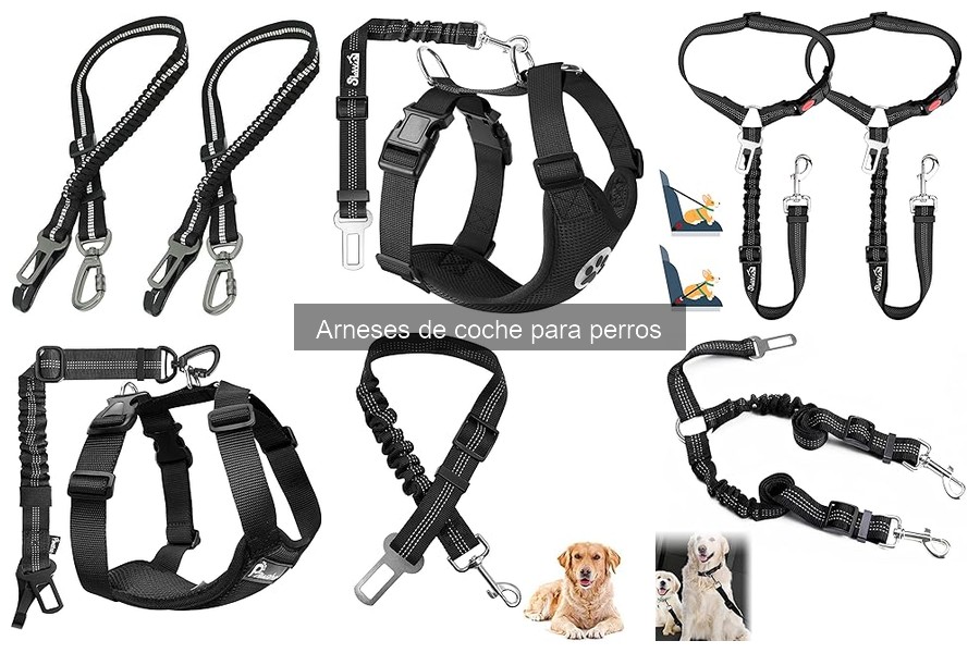 Guía para elegir el mejor arnés de coche para perros