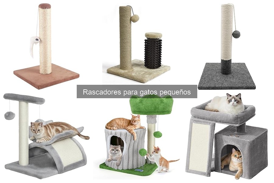 Guía para elegir el mejor rascador para gatos pequeños
