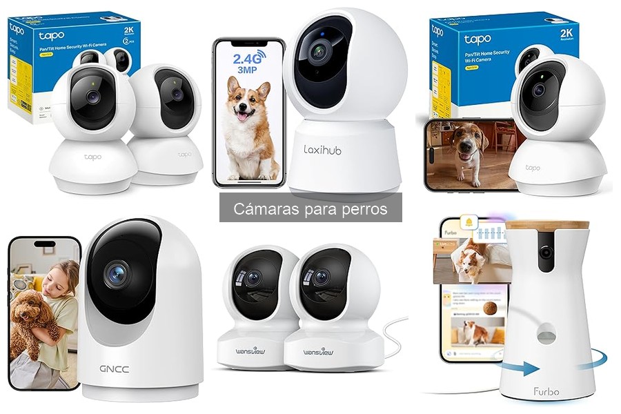 Guía para elegir la cámara ideal para tu perro