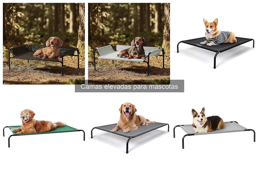 Guía para Elegir la Mejor Cama Elevada para tu Mascota