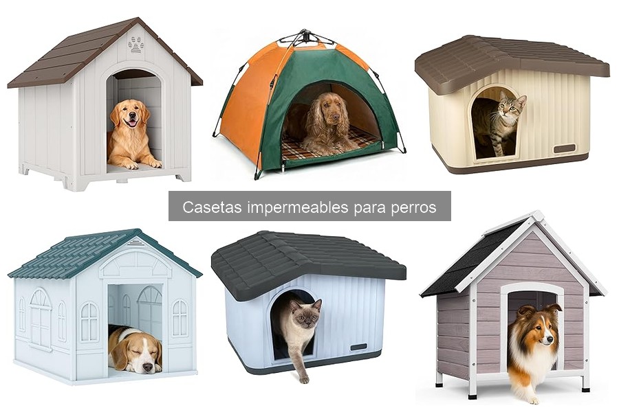 Guía para Elegir la Mejor Caseta Impermeable para Perros