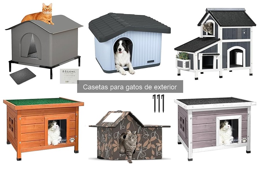 Guía para elegir la mejor caseta para gatos en exterior