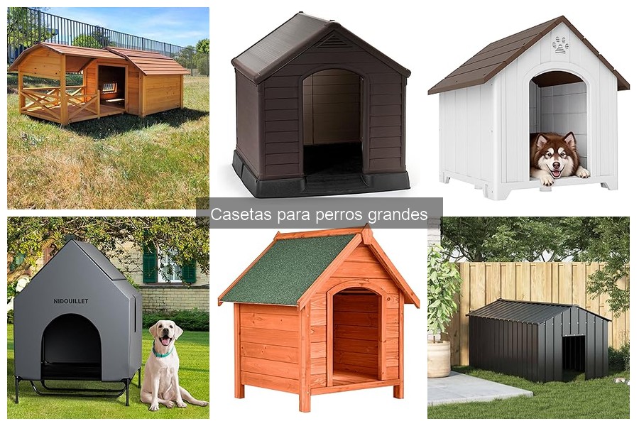 Guía para Elegir la Mejor Caseta para Perros Grandes