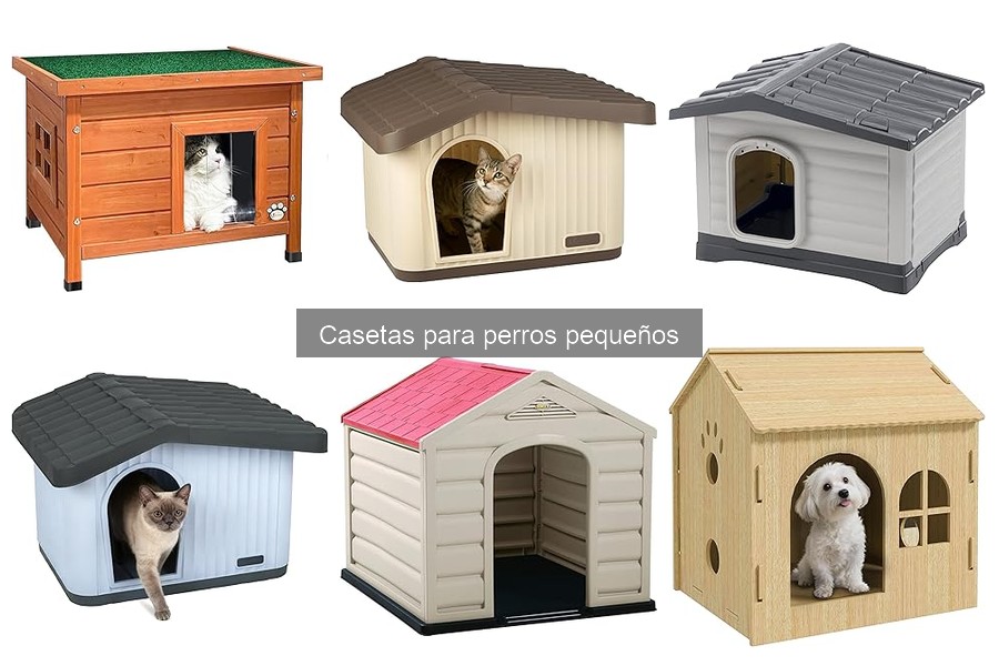 Guía para elegir la mejor caseta para perros pequeños