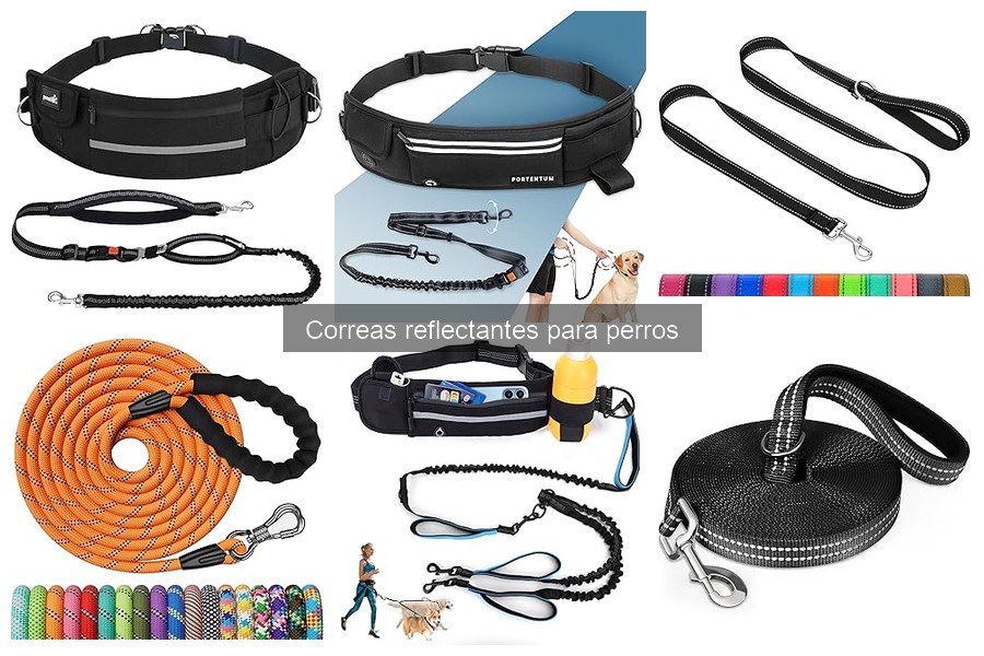 Guía para elegir la mejor correa reflectante para perros