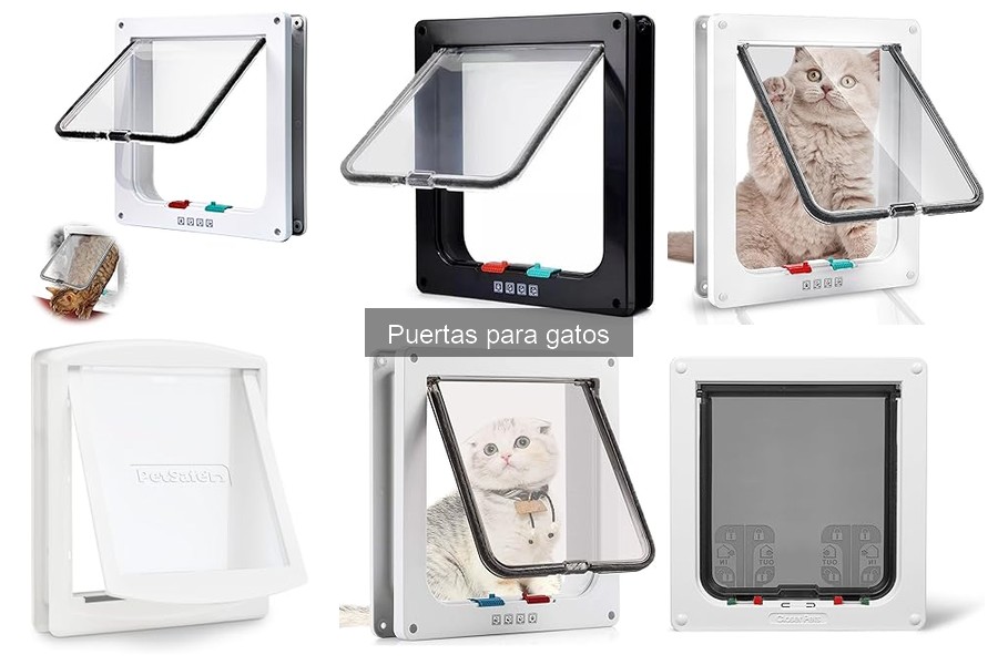 Guía para Elegir la Mejor Puerta para Gatos