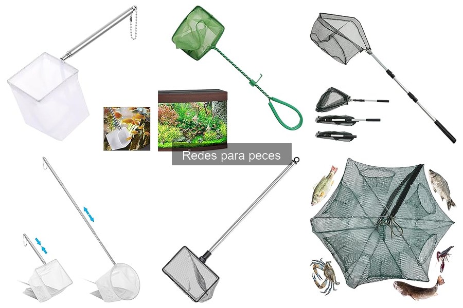 Guía para elegir la red ideal para tu acuario