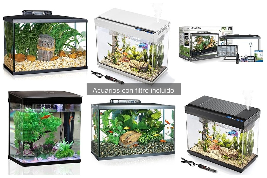 Guía para Instalar un Acuario con Filtro Incluido