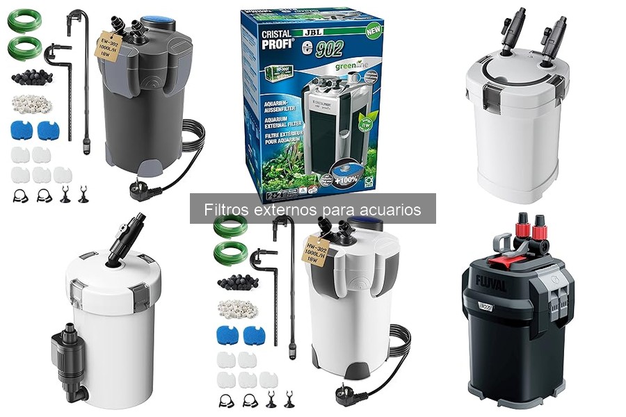 Guía para instalar un filtro externo en tu acuario