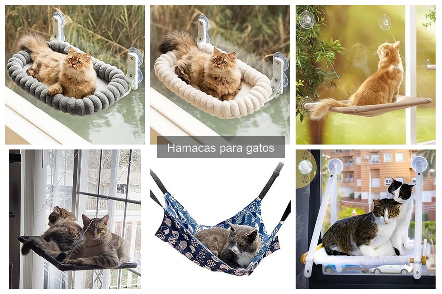 Hamacas para gatos: interior vs exterior, ¿cuál elegir?