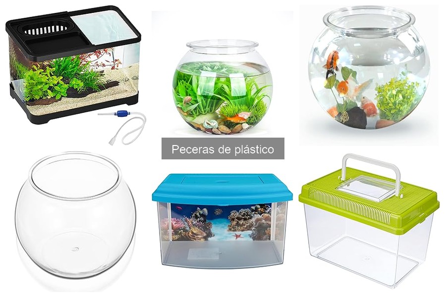 Ideas creativas para personalizar peceras de plástico