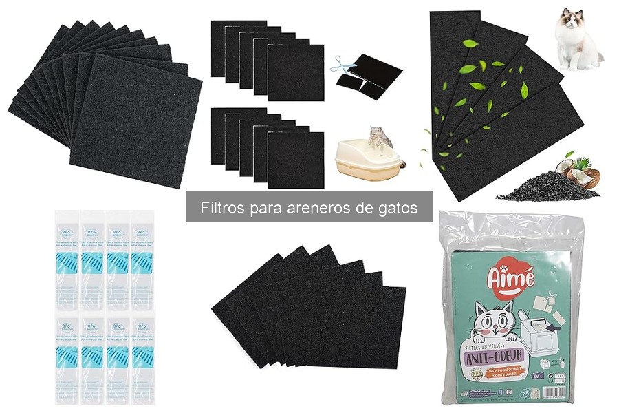 Impacto Ambiental de los Filtros para Areneros de Gatos