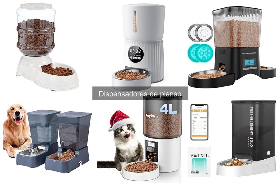 Impacto de los dispensadores de pienso en la salud de las mascotas