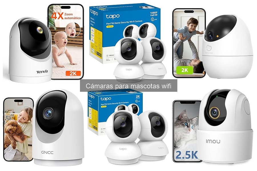 Importancia de una cámara wifi para mascotas en casa
