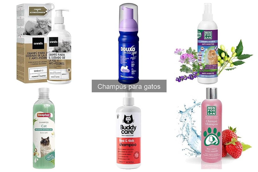Ingredientes que Debes Evitar en Champús para Gatos