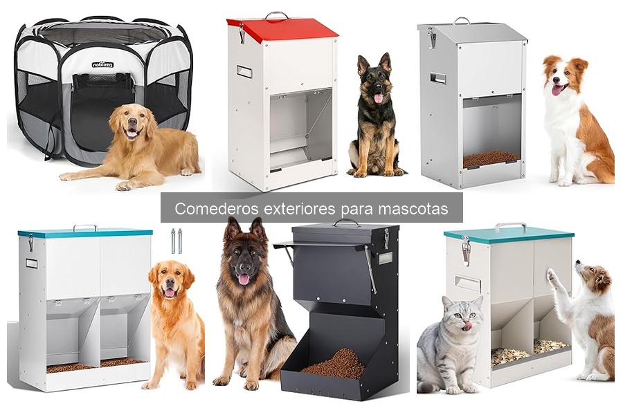 Instalación correcta de comederos exteriores para mascotas