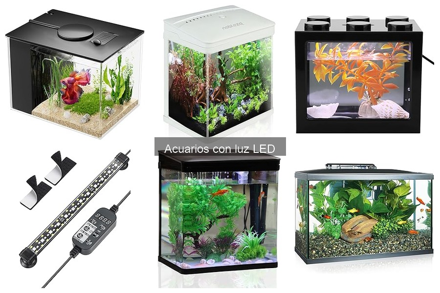 Instalación de luces LED en acuarios: guía paso a paso