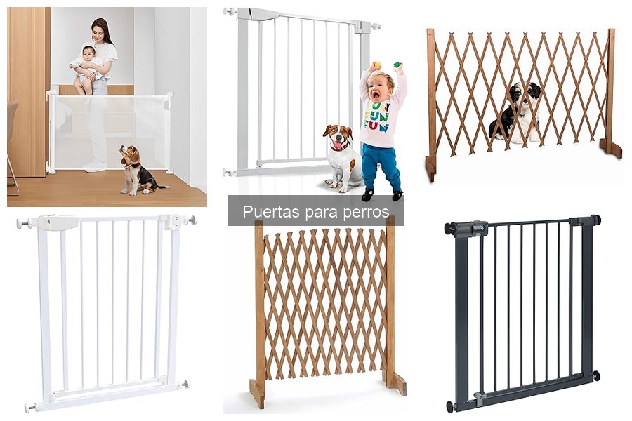 Instalación de puertas para perros: pasos y consejos prácticos