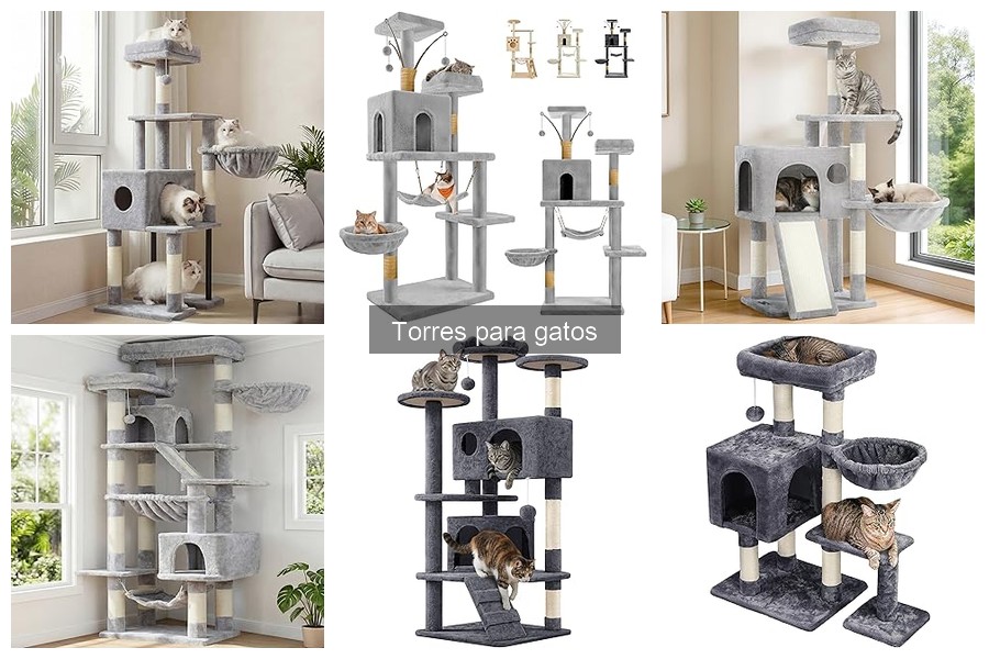 Instalación y Mantenimiento de Torres para Gatos: Guía Completa