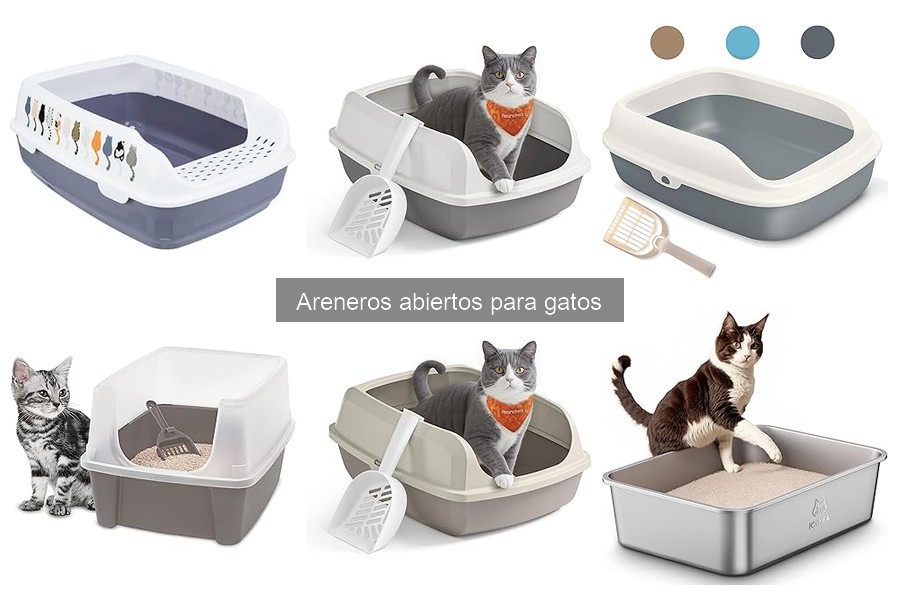 Instrucciones para Instalar un Arenero Abierto para Gatos