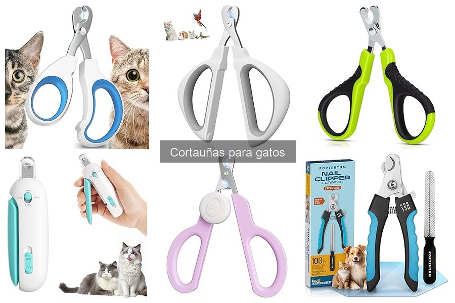 Instrucciones para Usar Cortauñas en Gatos de Forma Segura