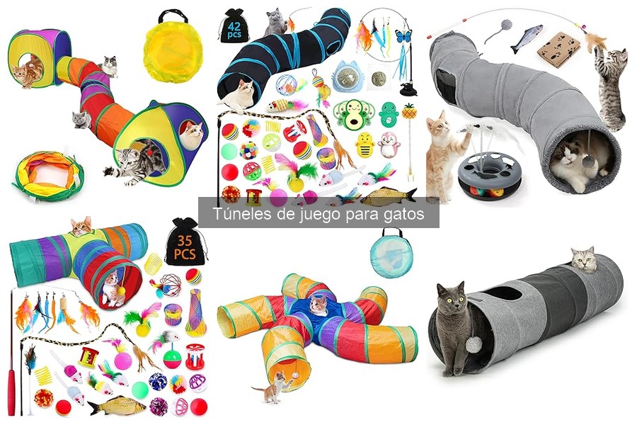 Involucra a otros animales en el túnel de juego para gatos