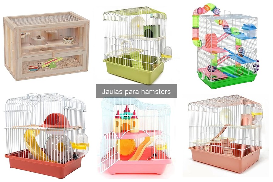 Jaulas de Segunda Mano para Hámsters: ¿Son Seguras?