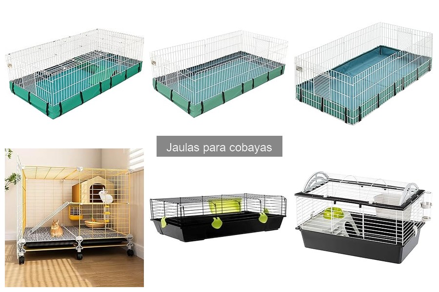 Jaulas grandes para cobayas: espacios ideales para tus mascotas