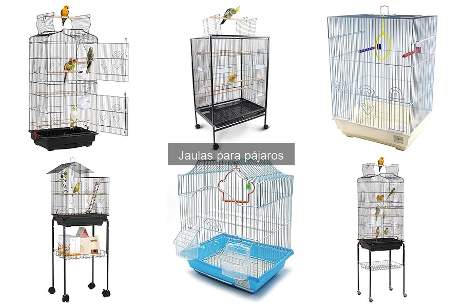 Jaulas para pájaros: Madera vs. Metal, ¿cuál elegir?