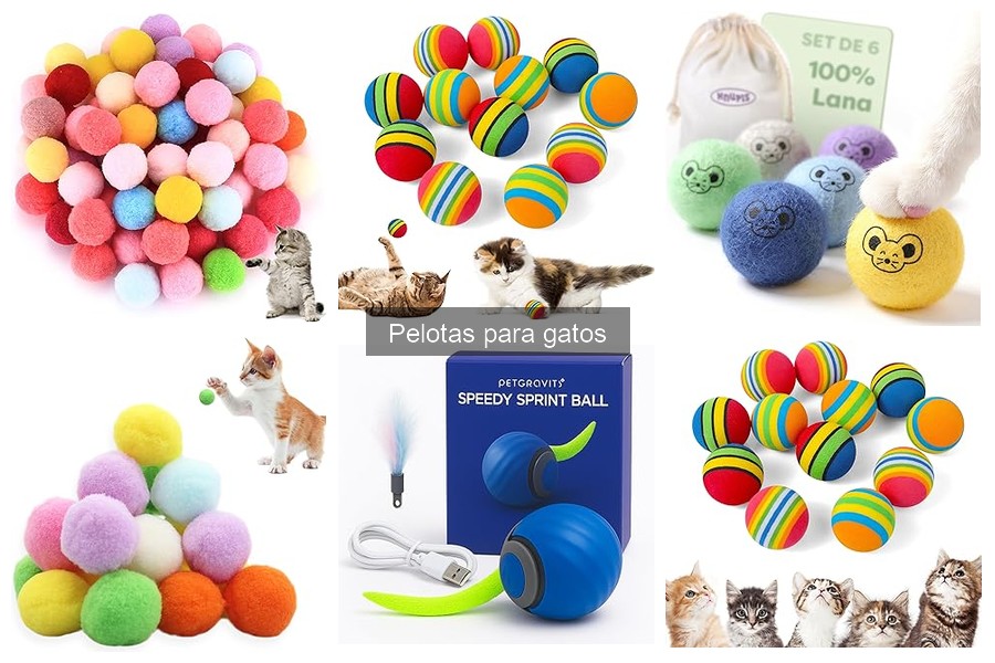Juega con tu gato: técnicas divertidas con pelotas