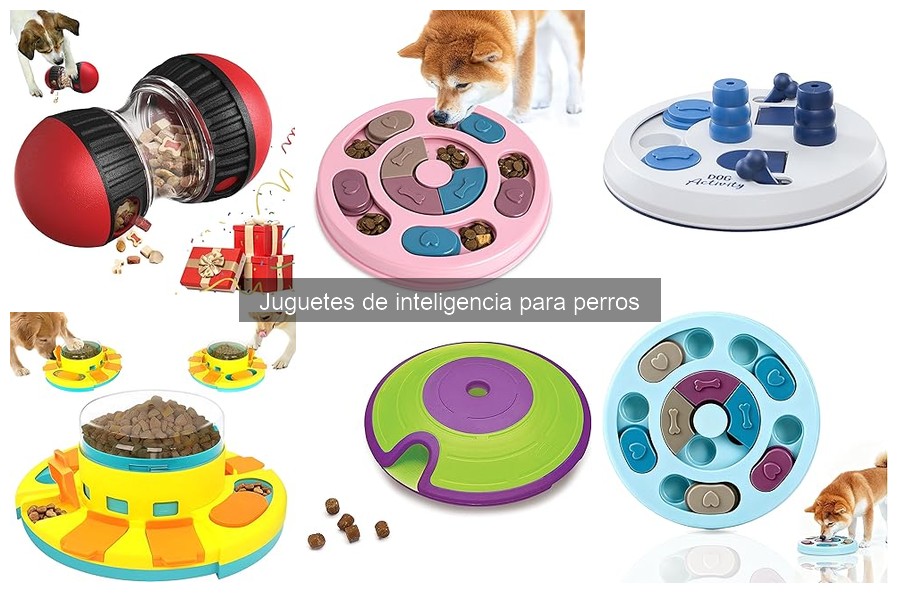 Juguetes de inteligencia para perros con problemas de comportamiento