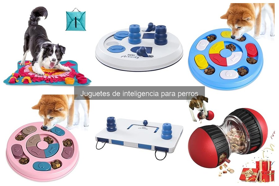 Juguetes de inteligencia para perros mayores: mejores opciones