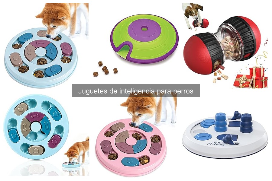 Juguetes de inteligencia para perros: precios y mejores tiendas