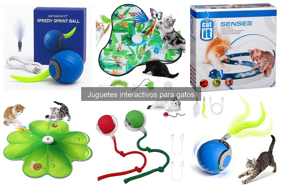 Juguetes Interactivos Ideales para Gatos Mayores