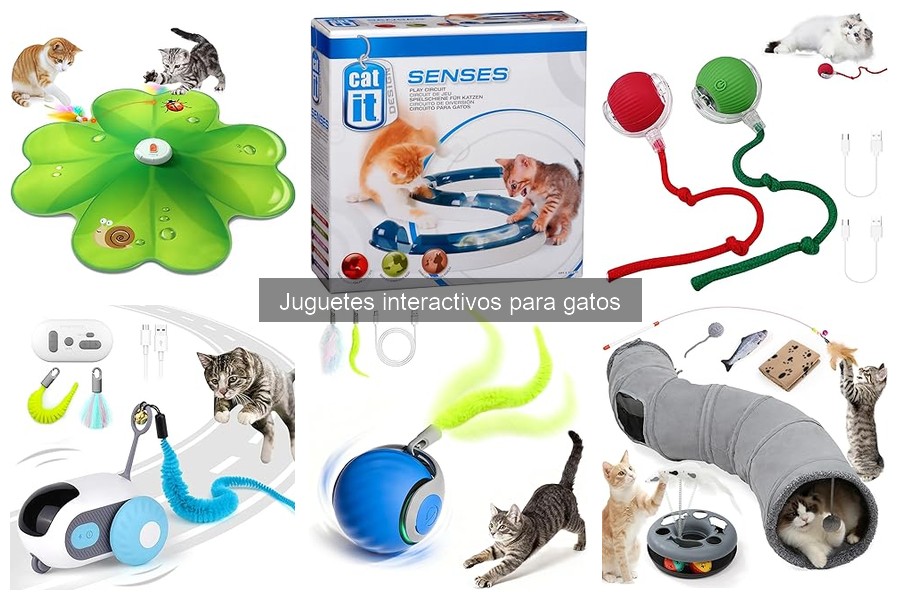 Juguetes Interactivos para Gatos: Indoor vs Outdoor