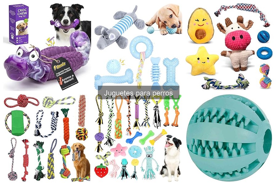 Juguetes Interactivos para Perros: ¿Son Efectivos?