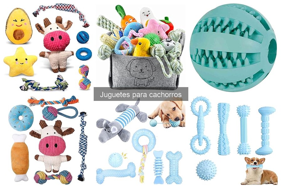 Juguetes para cachorros hiperactivos: mejores opciones para su energía
