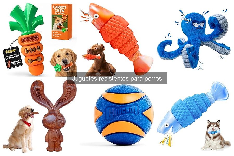 Juguetes resistentes para perros: ¿Qué son y por qué son importantes?