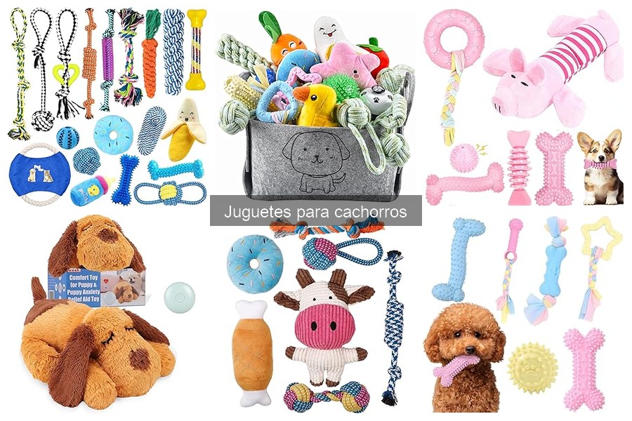Juguetes seguros para cachorros: guía de criterios y ejemplos