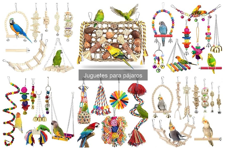 Juguetes seguros para pájaros: materiales a evitar
