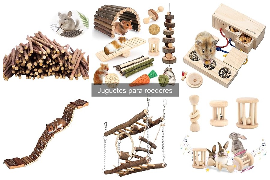 Juguetes seguros para roedores: guía de materiales y recomendaciones