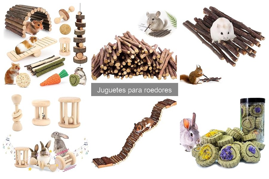La importancia de los juguetes para roedores en su bienestar