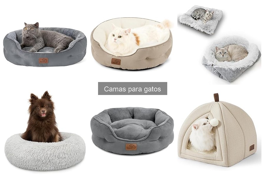 Las mejores camas para gatos económicas que puedes comprar