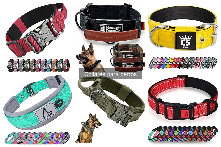 Las Mejores Marcas de Collares para Perros en 2023