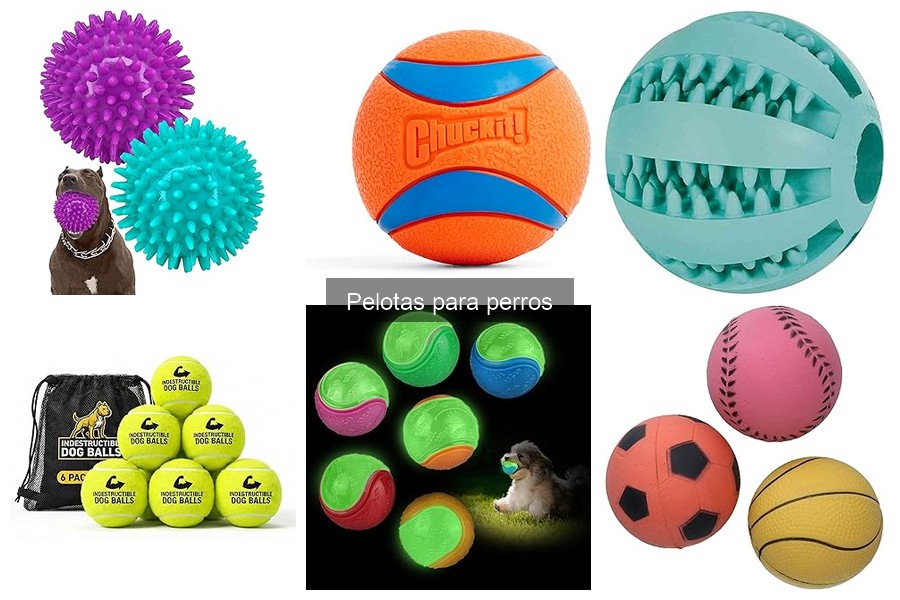 Las Mejores Pelotas para Perros: Durabilidad y Diversión